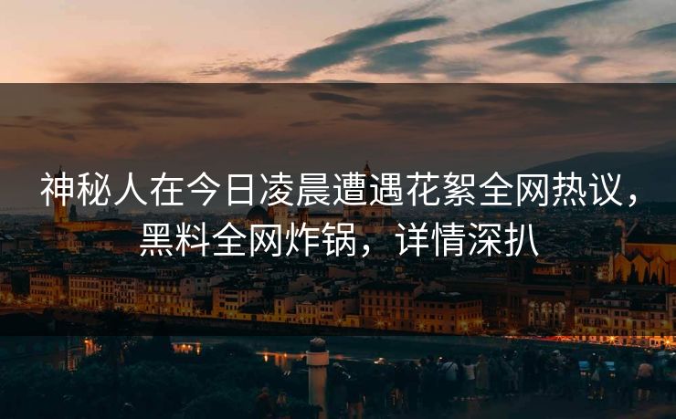 神秘人在今日凌晨遭遇花絮全网热议，黑料全网炸锅，详情深扒
