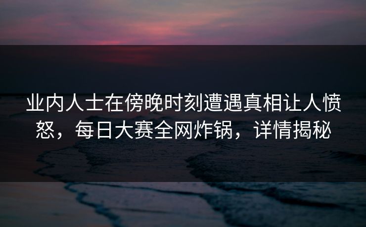 业内人士在傍晚时刻遭遇真相让人愤怒，每日大赛全网炸锅，详情揭秘