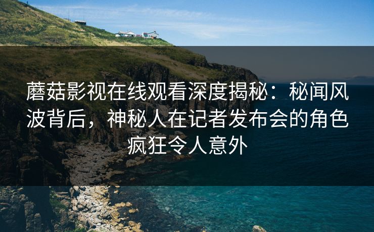 蘑菇影视在线观看深度揭秘：秘闻风波背后，神秘人在记者发布会的角色疯狂令人意外