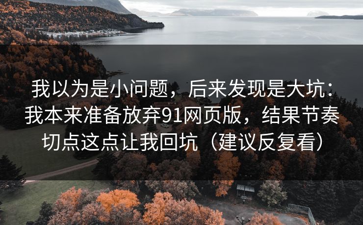 我以为是小问题，后来发现是大坑：我本来准备放弃91网页版，结果节奏切点这点让我回坑（建议反复看）